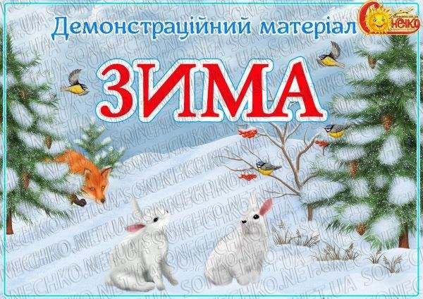 Демонстраційний матеріал "Зима"