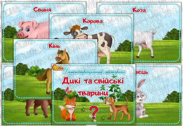 Демонстраційний матеріал "Дикі та свійські тварини"