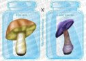 Дидактична гра  "Їстівні та отруйні гриби"