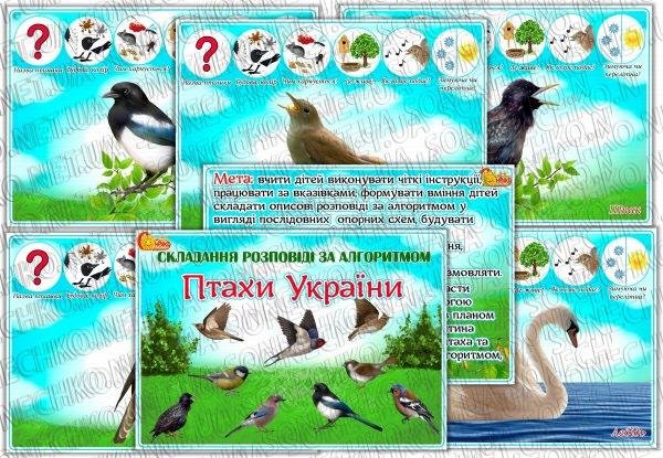 Матеріал для складання розповіді за алгоритмом "Птахи України"