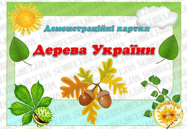 Демонстраційні картки  "Дерева України"
