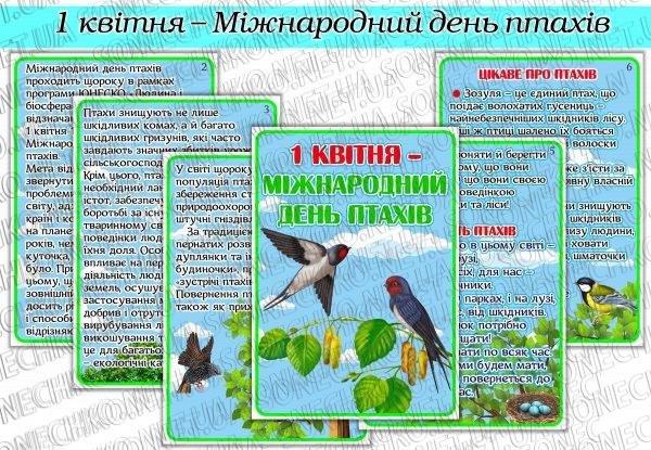 Папка-пересувка "1 квітня - Міжнародний день птахів"