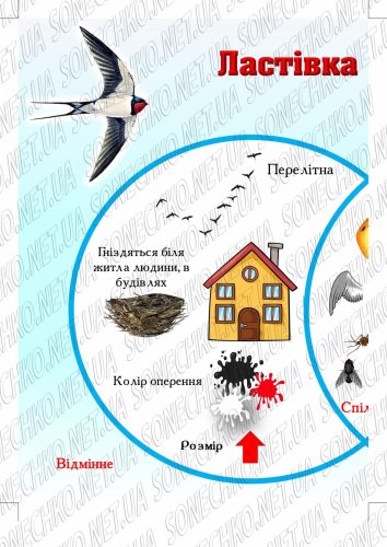 Конспект підсумкового заняття-квесту з розвитку мовлення, математики та природи  на тему: "Скарби від тітоньки Сови"