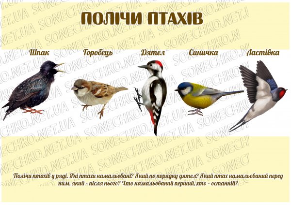 Конспект підсумкового заняття-квесту з розвитку мовлення, математики та природи  на тему: "Скарби від тітоньки Сови"