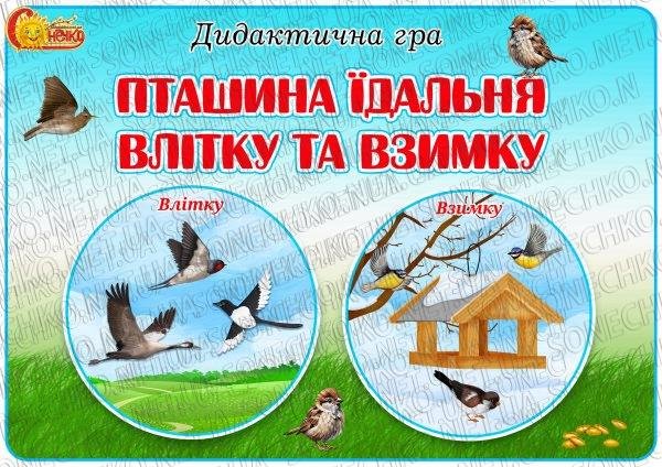 Дидактична гра "Пташина їдальня влітку та взимку"