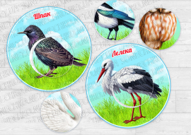 Дидактична гра "Знайди латочку. Птахи"