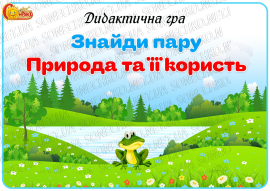 Дидактична гра "Знайди пару. Природа та її користь"