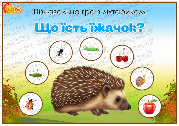 Пізнавальна гра з ліхтариком "Що їсть їжачок?"