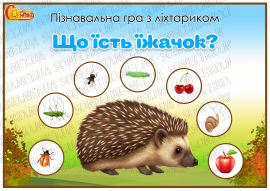 Пізнавальна гра з ліхтариком "Що їсть їжачок?"