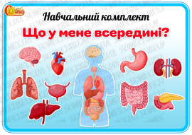 Навчальний комплект "Що у мене всередині?"