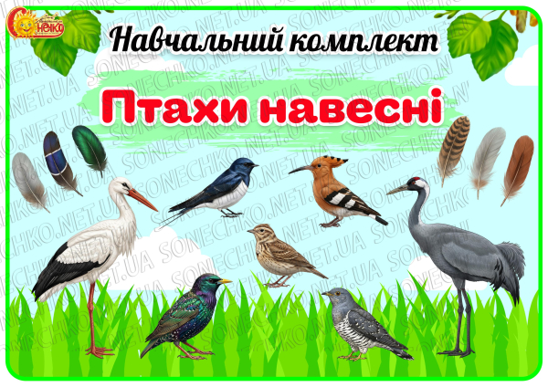 Навчальний комплект «Птахи навесні»