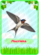 Навчальний комплект «Птахи навесні»