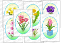 Дидактична гра "Весняні квіти. Картинки-половинки"