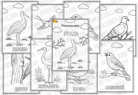 Розмальовки "Птахи"