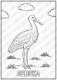 Розмальовки "Птахи"