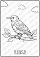 Розмальовки "Птахи"