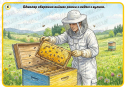 Навчальний комплект «Як з’являється мед?»