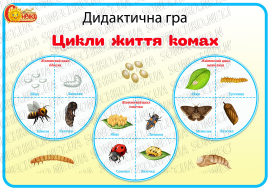 Дидактична гра "Цикли життя комах"