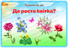 Дидактична гра "Де росте квітка?"