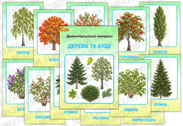 Демонстраційний матеріал "Дерева та кущі"