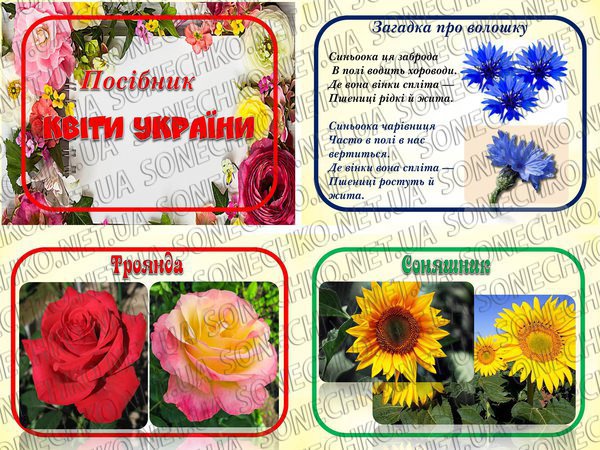 Посібник "Квіти України"
