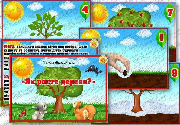 Дидактична гра "Як росте дерево?"